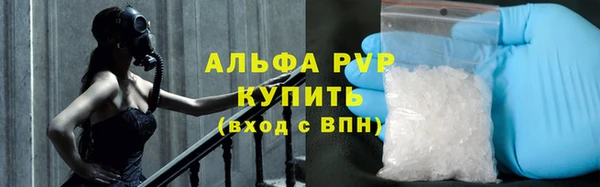 прущие крисы Алзамай